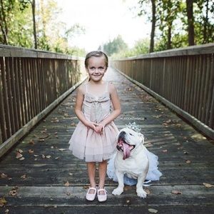 Tutu du Monde pink and gold dress